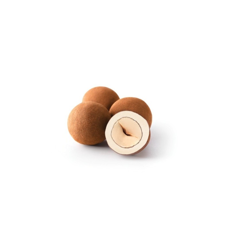 Gaudí Chocolate Hazelnuts